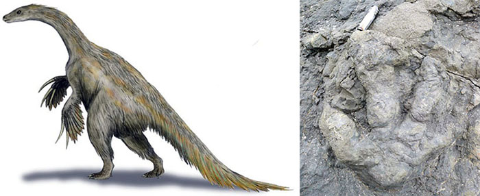 Image result for therizinosaur track alaska