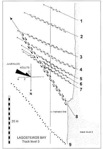 Lockley-et-al-Sauropod-Track-Map-Cabo-Espichel