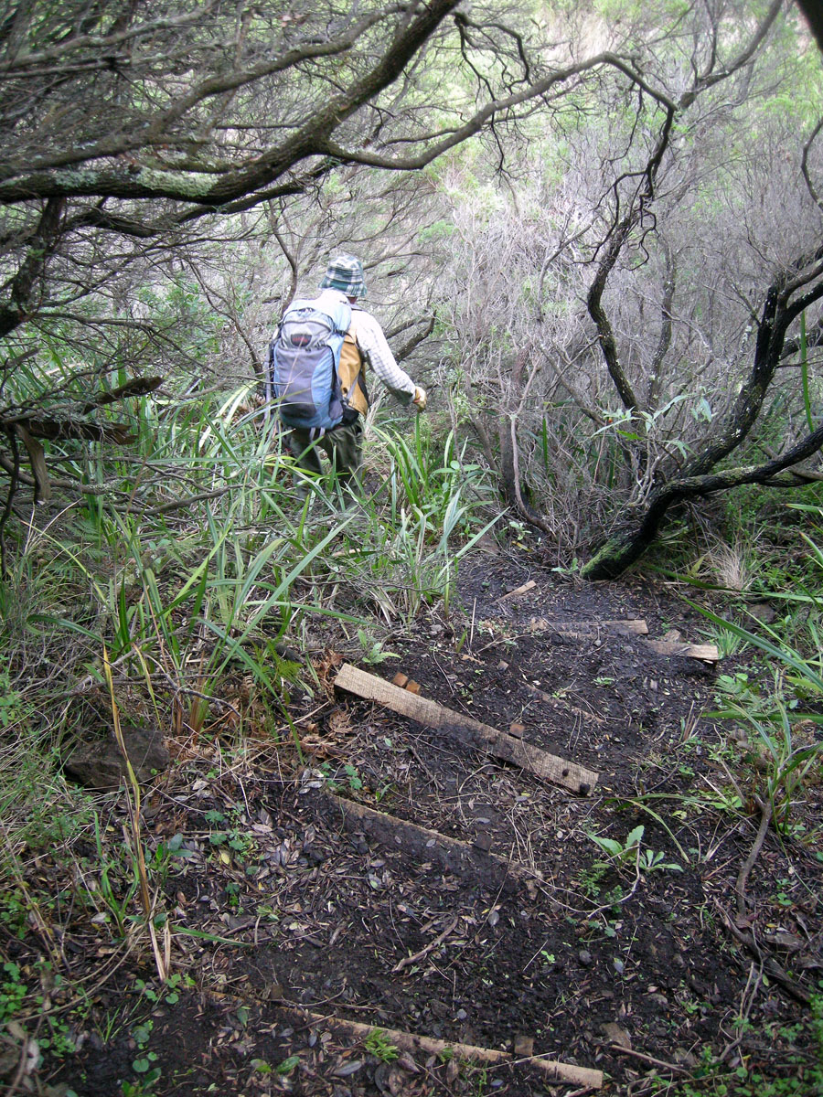 Wallaby-Trail-Knowledge-Creek